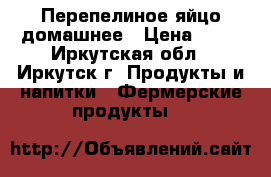 Перепелиное яйцо домашнее › Цена ­ 60 - Иркутская обл., Иркутск г. Продукты и напитки » Фермерские продукты   